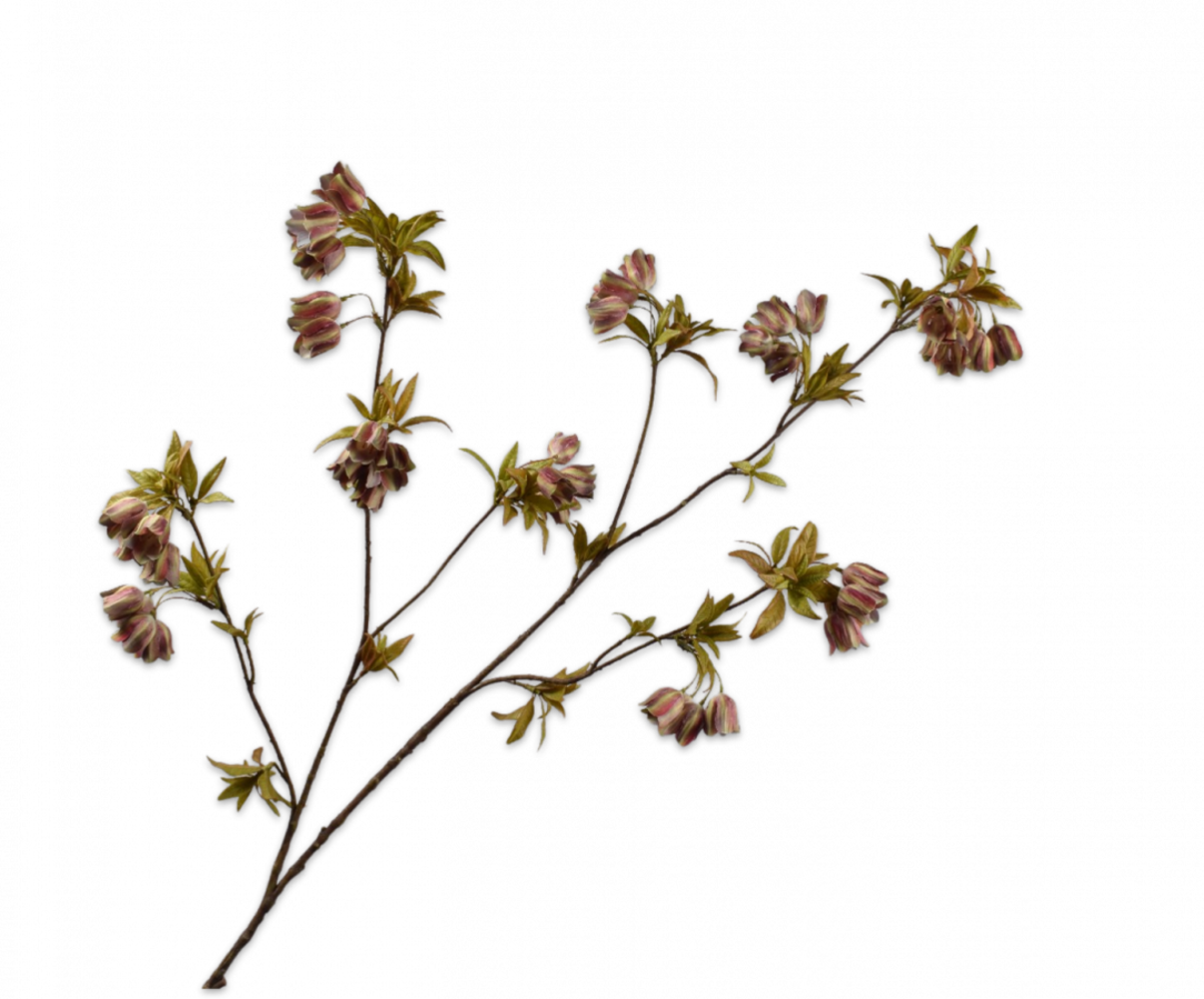 SILK-KA Campanula Branch Green/Brown | 112 cm SILK-KA Campanula Branch Green/Brown | 112 cm