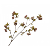 SILK-KA Branche de campanule verte/marron | 112 cm