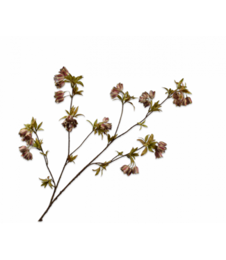 SILK-KA Rama de Campanilla Verde/Marrón | 112 cm