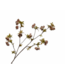 SILK-KA Glockenblumenzweig Grün/Braun | 112 cm