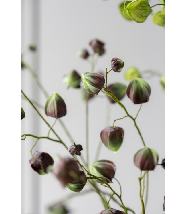 SILK-KA Physalis Branch Green/Brown | 123 cm