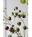 SILK-KA Physalis Zweig Grün/Braun | 123 cm