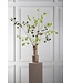 SILK-KA Physalis Branch Green/Brown | 123 cm