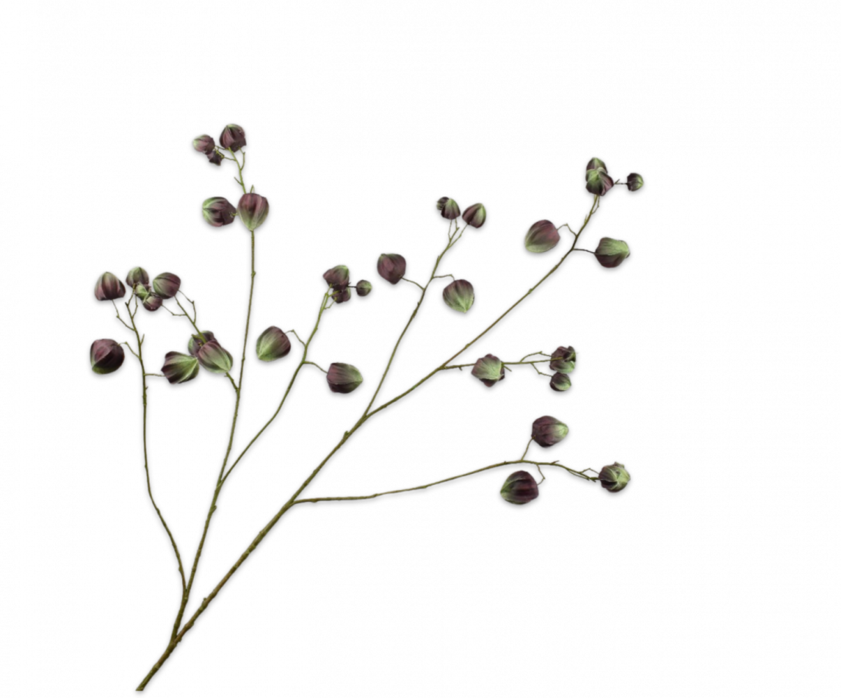 SILK-KA Physalis Zweig Grün/Braun | 123 cm SILK-KA Physalis Zweig Grün/Braun | 123 cm