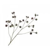 SILK-KA Physalis Tak Groen/Bruin | 123 cm