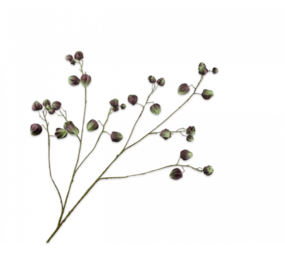 SILK-KA Physalis-gren grønn/brun | 123 cm SILK-KA Physalis-gren grønn/brun | 123 cm