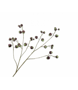 SILK-KA Physalis Tak Groen/Bruin | 123 cm