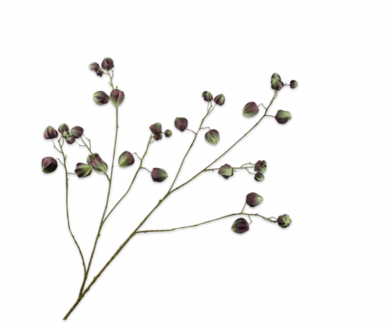 SILK-KA Physalis Zweig Grün/Braun | 123 cm SILK-KA Physalis Zweig Grün/Braun | 123 cm