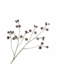 SILK-KA Physalis Branch Green/Brown | 123 cm