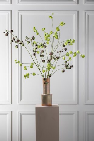 SILK-KA Physalis Branch Green | 123 cm SILK-KA Physalis Branch Green | 123 cm