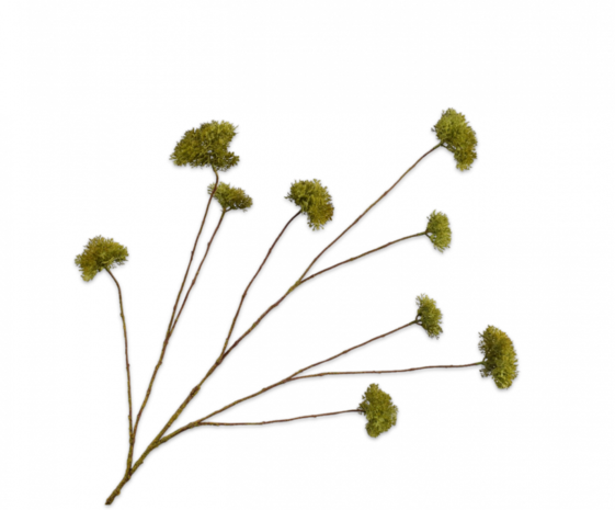 SILK-KA Moss Branch Green | 115 cm SILK-KA Moss Branch Green | 115 cm