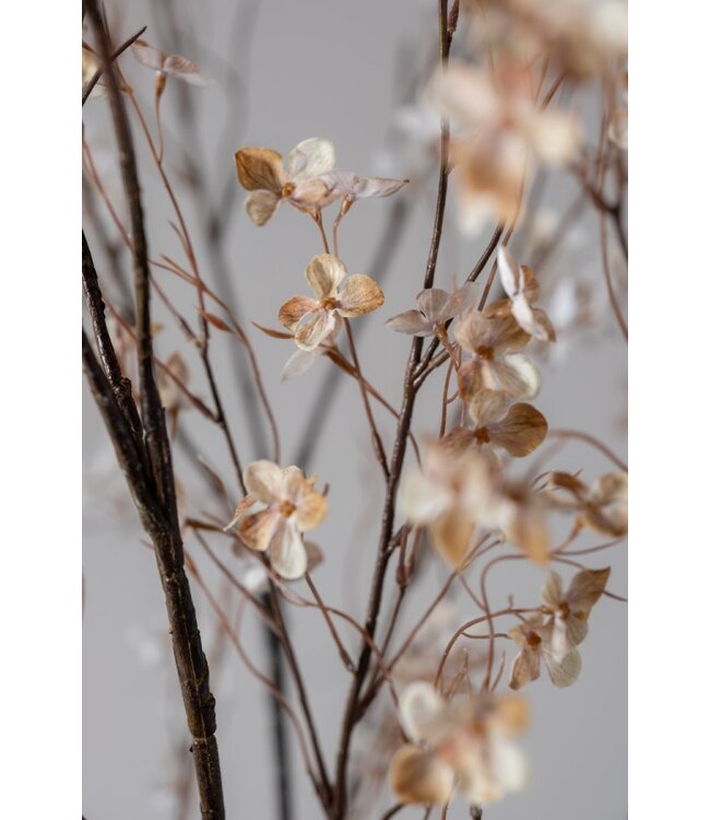 SILK-KA Blütenzweig Creme/Rosa | 129 cm