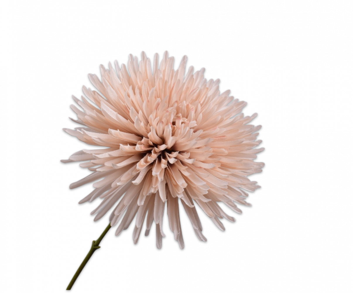 SILK-KA Chrysanthemenzweig Braun LT | 60 cm SILK-KA Chrysanthemenzweig Braun LT | 60 cm