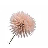 SILK-KA Branche de chrysanthème marron LT | 60 cm SILK-KA Branche de chrysanthème marron LT | 60 cm