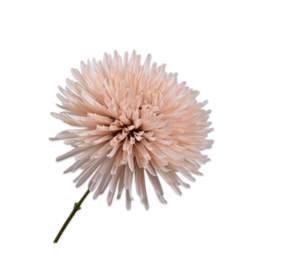 SILK-KA Branche de chrysanthème marron LT | 60 cm SILK-KA Branche de chrysanthème marron LT | 60 cm