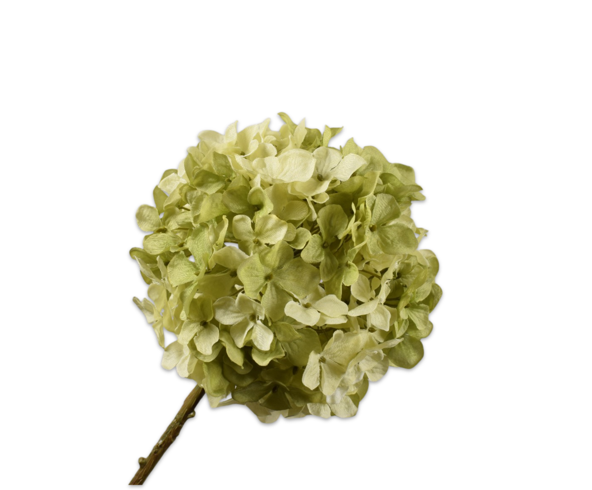 SILK-KA Hydrangea Branch Cream/Green | 70 cm SILK-KA Hydrangea Branch Cream/Green | 70 cm