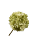 SILK-KA Hydrangea Branch Cream/Green | 70 cm SILK-KA Hydrangea Branch Cream/Green | 70 cm
