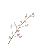 SILK-KA Kengurupotegren rød | 121 cm