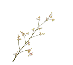 SILK-KA Rama de pata de canguro rosa/verde | 121 cm SILK-KA Rama de pata de canguro rosa/verde | 121 cm