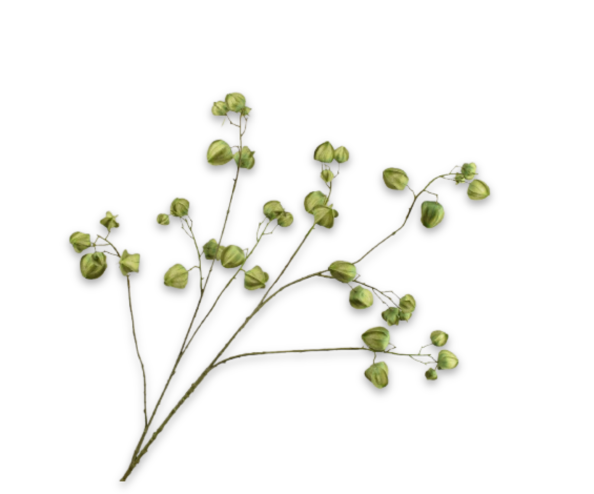 SILK-KA Physalis Branch Green | 123 cm SILK-KA Physalis Branch Green | 123 cm