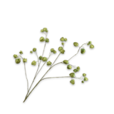 SILK-KA Physalis Tak Groen | 123 cm