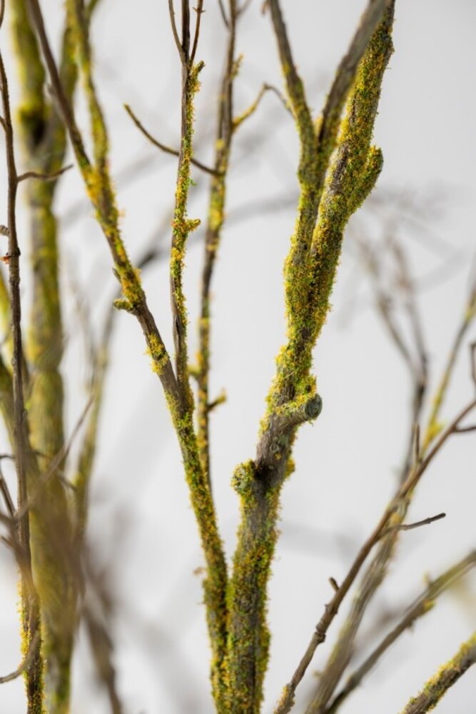 SILK-KA Branche de bois marron/vert | 134 cm SILK-KA Branche de bois marron/vert | 134 cm