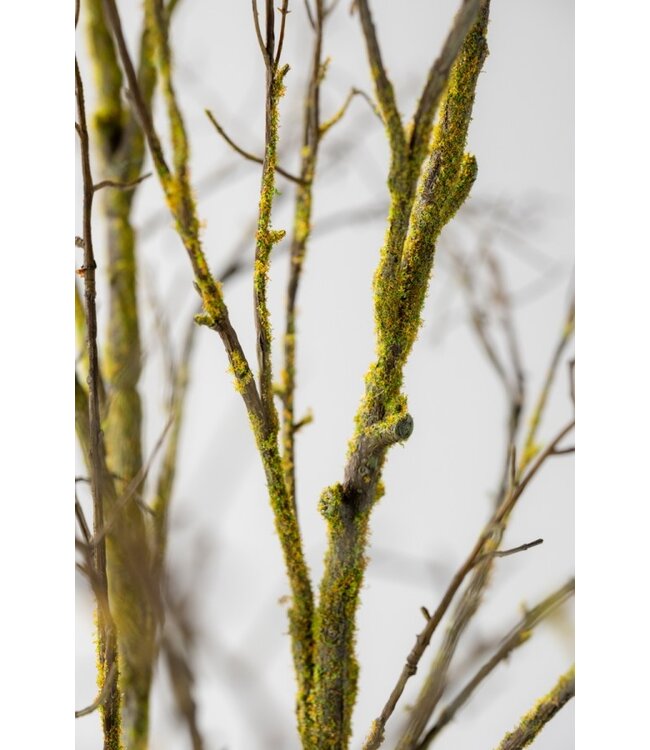SILK-KA Wood branch Brown/Green | 134 cm