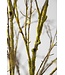 SILK-KA Holzzweig Braun/Grün | 134 cm