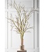 SILK-KA Houttak Bruin/Groen | 134 cm