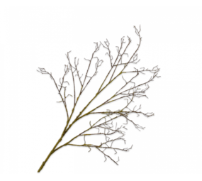 SILK-KA Rama de madera Marrón/Verde | 134 cm SILK-KA Rama de madera Marrón/Verde | 134 cm