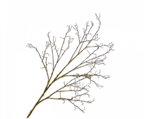 SILK-KA Houttak Bruin/Groen | 134 cm SILK-KA Houttak Bruin/Groen | 134 cm