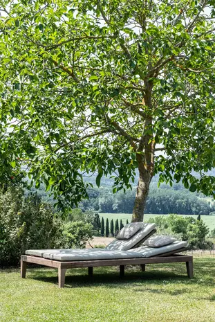 GOMMAIRE Outdoor | Organic Living Tumbona doble Lisa con ruedas | Teca gris natural / Mimbre sintético color verde hierba antiguo
