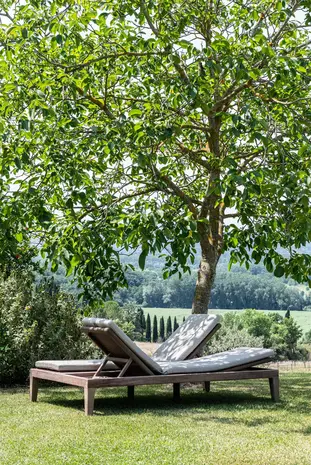 GOMMAIRE Outdoor | Organic Living Tumbona doble Lisa con ruedas | Teca gris natural / Mimbre sintético color verde hierba antiguo