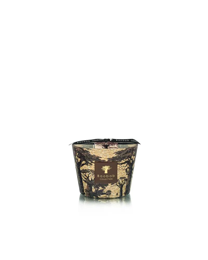 Baobab Collection Scented candle | Sacred Trees Mankono Max 10 Baobab Collection Scented candle | Sacred Trees Mankono Max 10