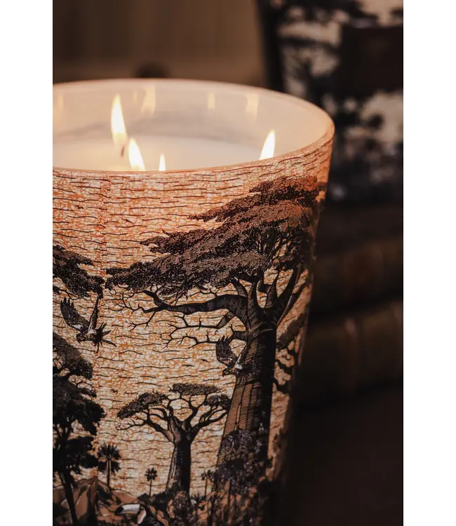Baobab Collection Scented candle | Sacred Trees Mankono Max 10