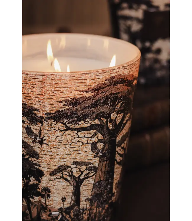 Baobab Collection Vela perfumada | Árboles Sagrados Mankono Max 16