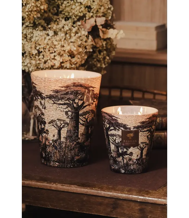 Baobab Collection Vela perfumada | Árboles Sagrados Mankono Max 16