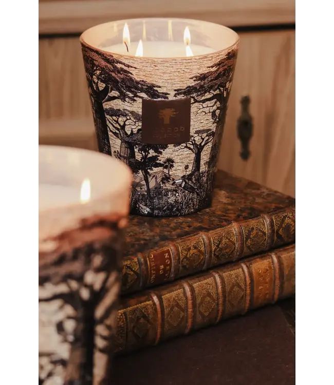Baobab Collection Scented candle | Sacred Trees Mankono Max 16