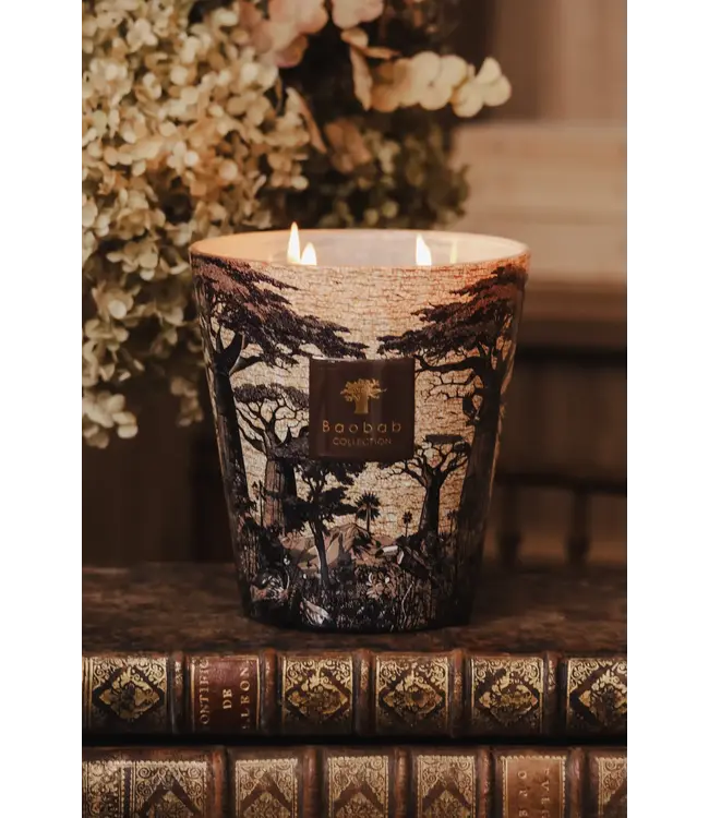 Baobab Collection Candela profumata | Sacred Trees Mankono Max 16
