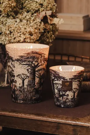 Baobab Collection Scented candle | Sacred Trees Mankono Max 24 Baobab Collection Scented candle | Sacred Trees Mankono Max 24