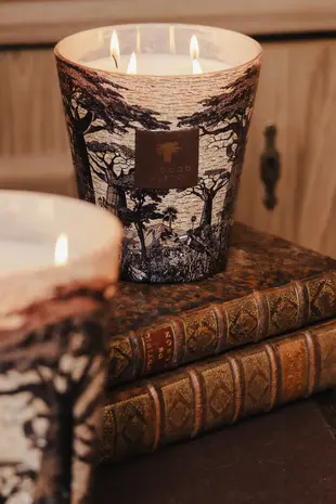 Baobab Collection Geurkaars | Sacred Trees Mankono Max 24 Baobab Collection Geurkaars | Sacred Trees Mankono Max 24