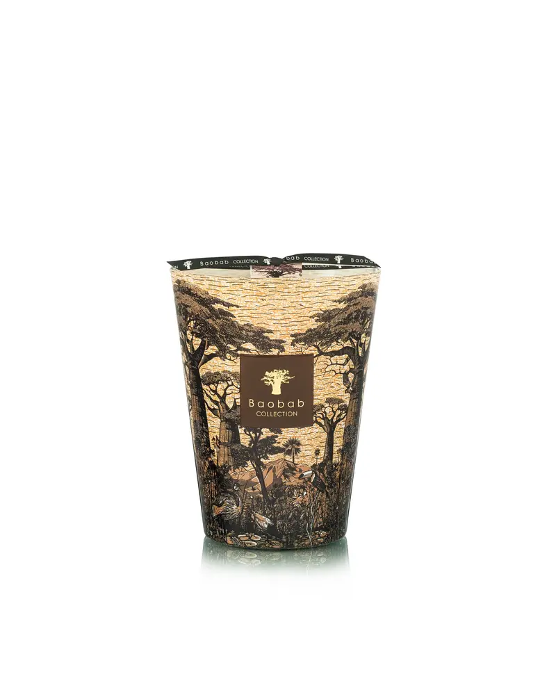 Baobab Collection Scented candle | Sacred Trees Mankono Max 24 Baobab Collection Scented candle | Sacred Trees Mankono Max 24