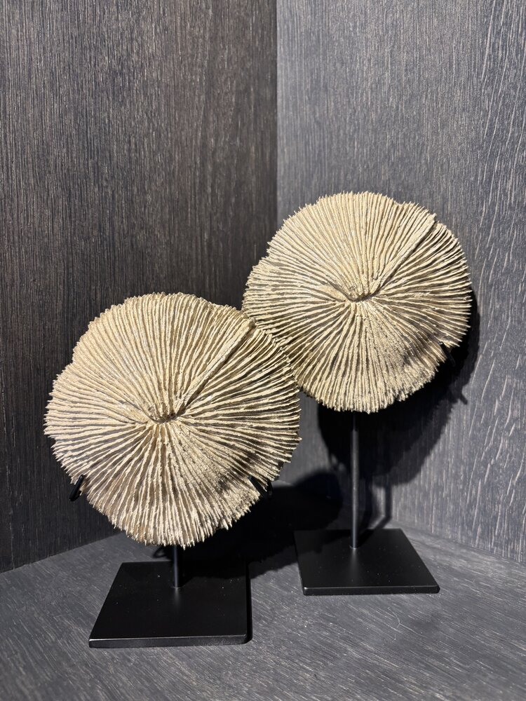 NU PUUR & GROEN Corail polyrésine marron - Lot de 2