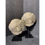 NU PUUR & GROEN Corallo in poliresina marrone - Set di 2