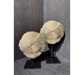 NU PUUR & GROEN Poliresina coral marrón - Juego de 2
