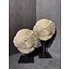 NU PUUR & GROEN Corail polyrésine marron - Lot de 2