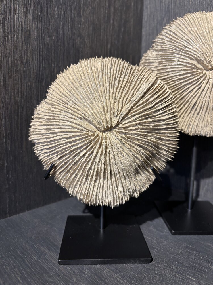 NU PUUR & GROEN Korall polyresin brun - Sett med 2
