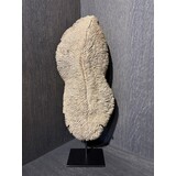 NU PUUR & GROEN Koraal polyresin bruin - Large NU PUUR & GROEN Koraal polyresin bruin - Large