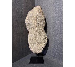 NU PUUR & GROEN Coral polyresin brown - Large