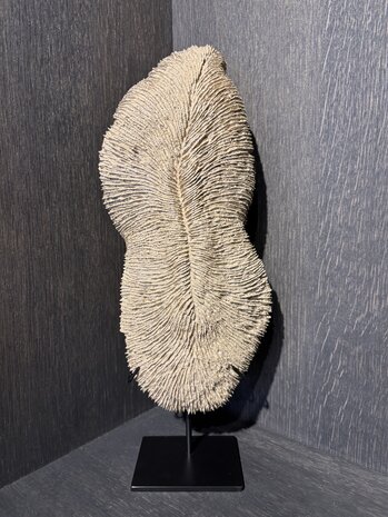 NU PUUR & GROEN Korall polyresin brun - Stor NU PUUR & GROEN Korall polyresin brun - Stor